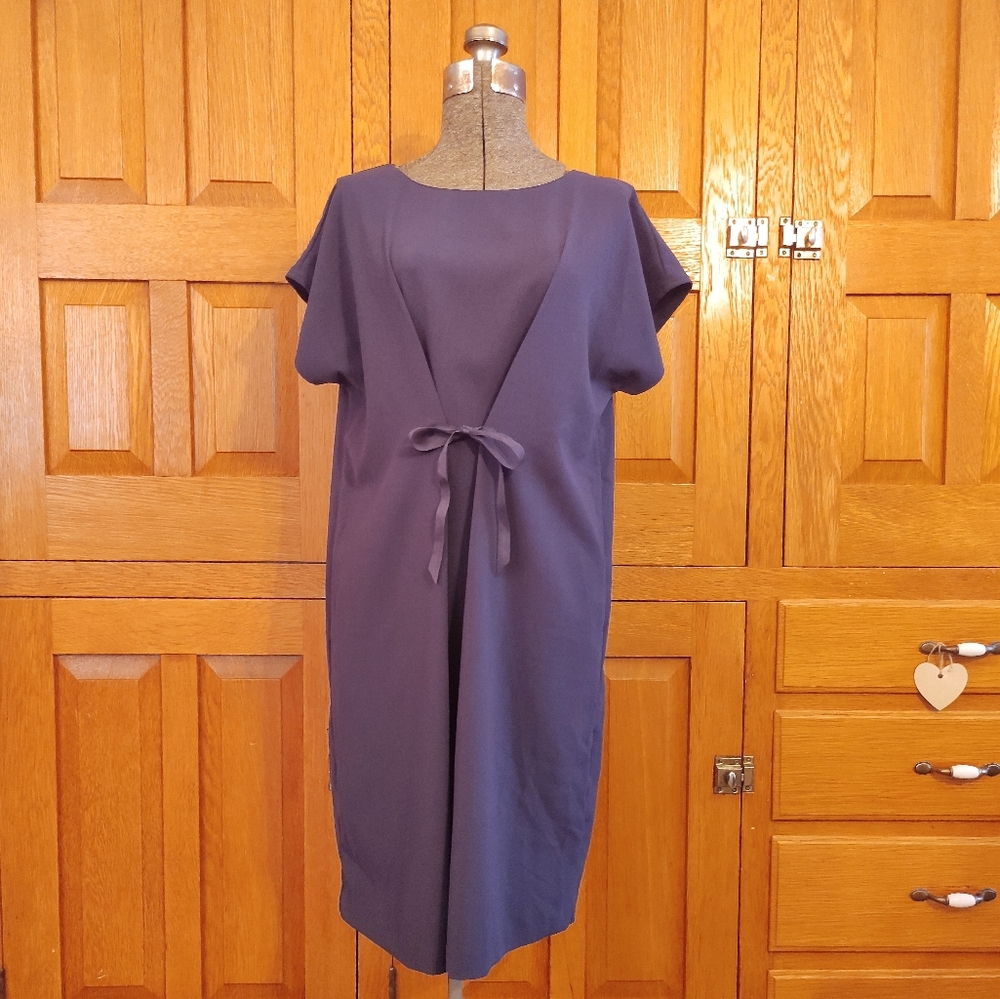 Lark & Ro navy blue tie front short sleeve dress
